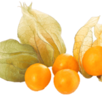 Physalis 100 g Kolumbia